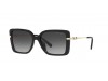 Michael Kors MK 2174U 30058G Michael Kors MK 2174U 30058G