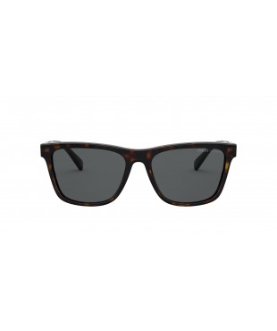 Polo Ralph Lauren PH 4167 5003/81 Polarized