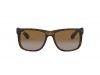 Ray-Ban RB 4165 865/T5 JUSTIN Polarized