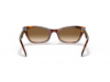 Ray-Ban RB 2299 954/51 LADY BURBANK
