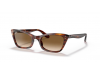 Ray-Ban RB 2299 954/51 LADY BURBANK